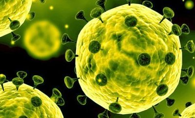 Novel Coronavirus
